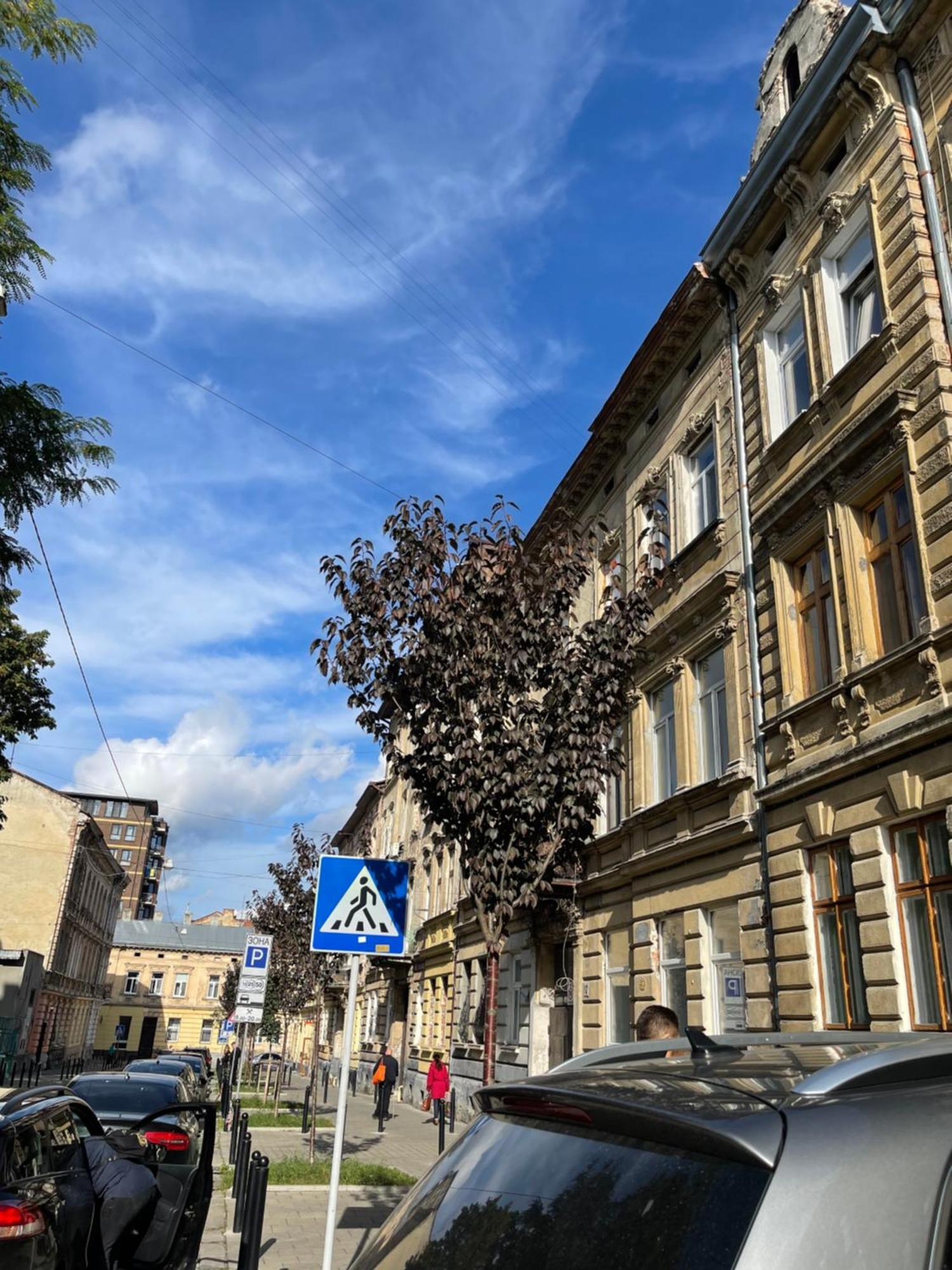 Vintage Apartment Kotlyarska10 Lemberg Exterior foto